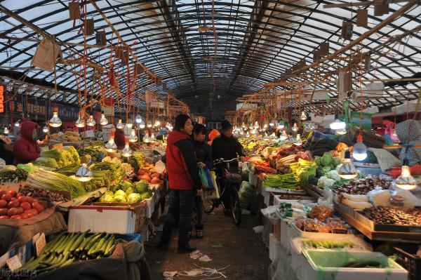 蔬菜價格瘋漲，2022年種地能不能掙錢？你認為呢