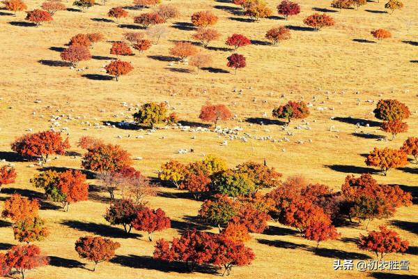 ​納蘭性德三首塞外深秋詞,冷麗深邃,深山夕照深秋雨 ​納蘭性德三首塞外深秋詞,冷麗深邃,深山夕照深秋雨