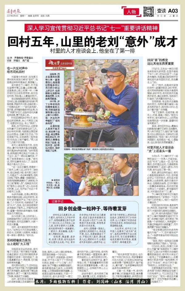 秋季多肉，你是王者歸來嗎？（附秋季養護知識）