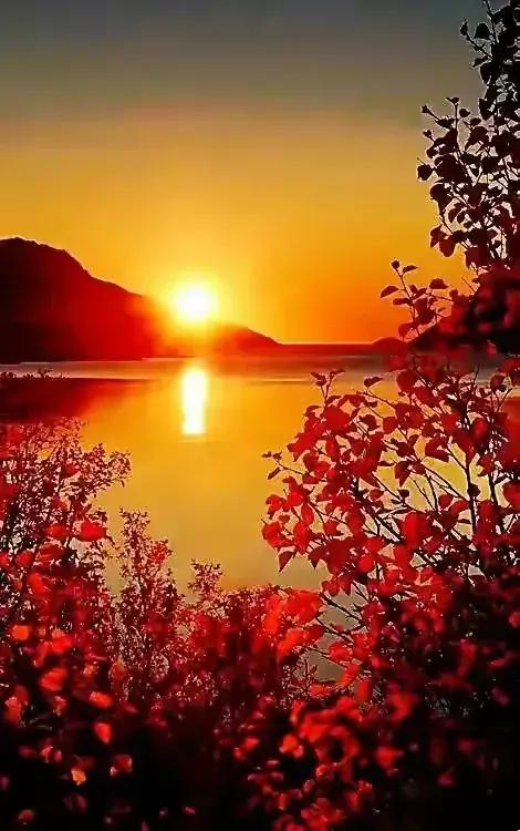 最美最迷人的倒影