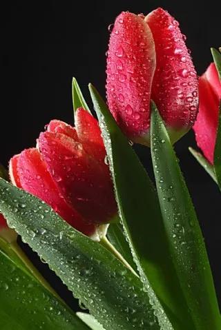 實用生活小竅門之一