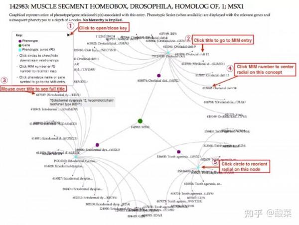 免費向公眾開放,提供下載資料,並且每日更新(OMIM資料庫) 免費向公眾開放,提供下載資料,並且每日更新(OMIM資料庫)