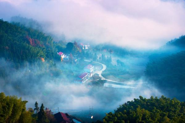 綠維文旅：旅遊投資運營手段和管理結構