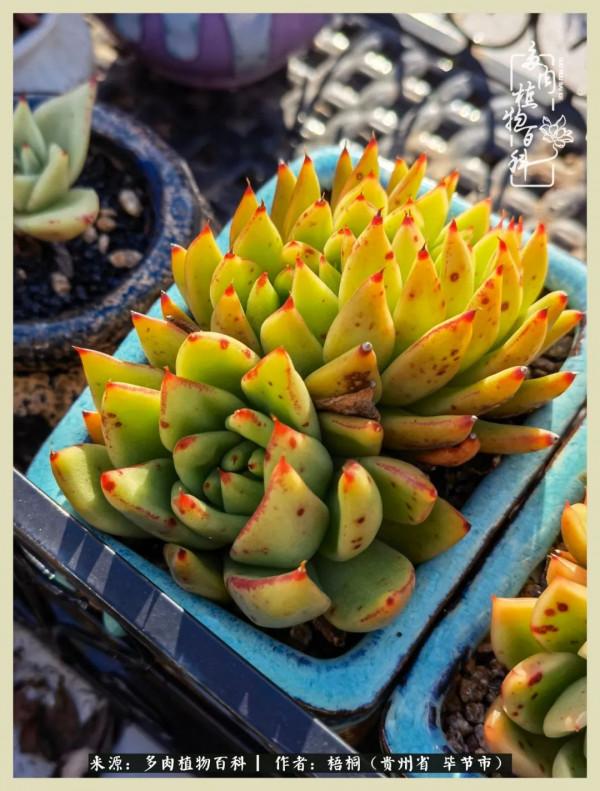 世間瞬息萬變，我們的友誼不變，閨蜜相聚，賞肉言歡