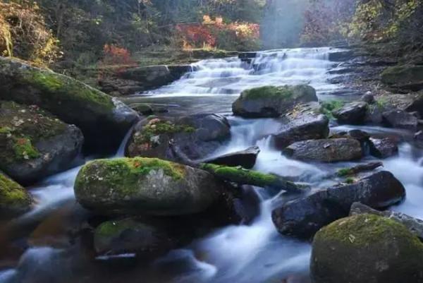 遇間旅遊 | 更新旅遊打卡地！領略大中國國家公園~我在三亞等你