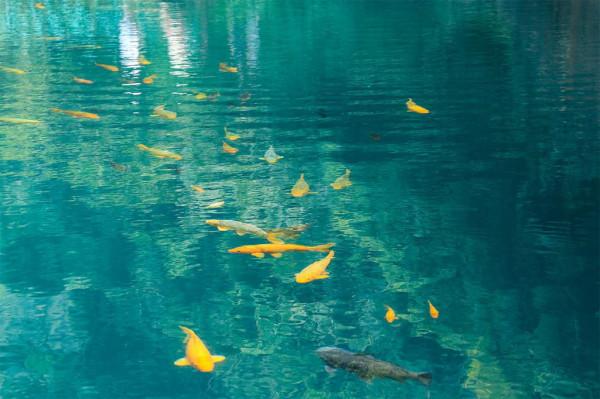 釣魚時遇到這種情況,滿以為魚情不錯,最後卻漁獲慘淡 釣魚時遇到這種情況,滿以為魚情不錯,最後卻漁獲慘淡