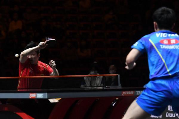 樊振東戰勝張本智和，奪得WTT世界盃決賽男單冠軍