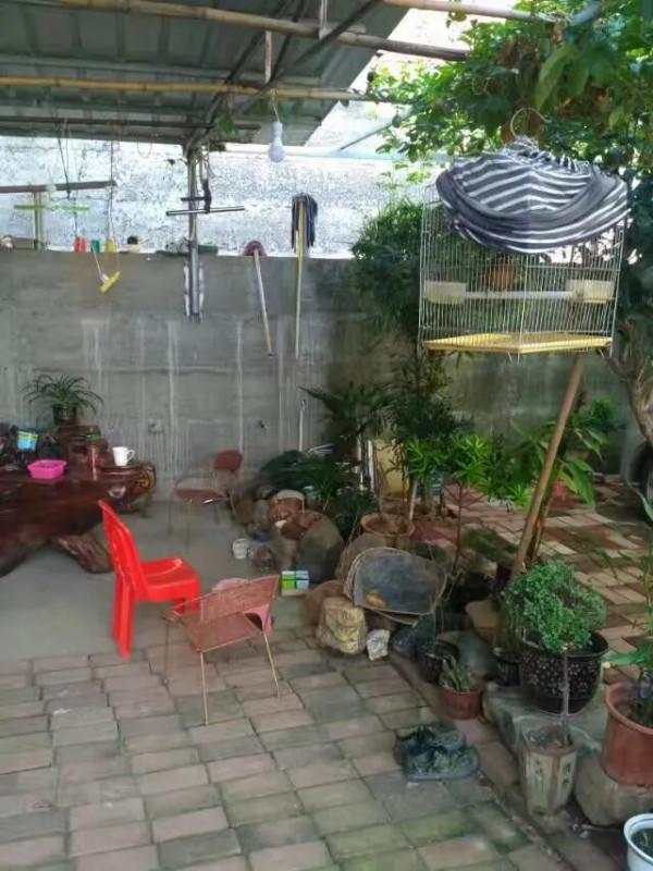 怎樣拯救一個痴迷釣魚玩鳥的人？