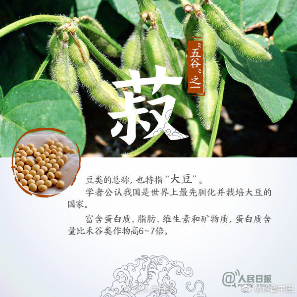 為什麼說五穀最養人？吃對穀物，心、肝、脾、肺、腎一把罩