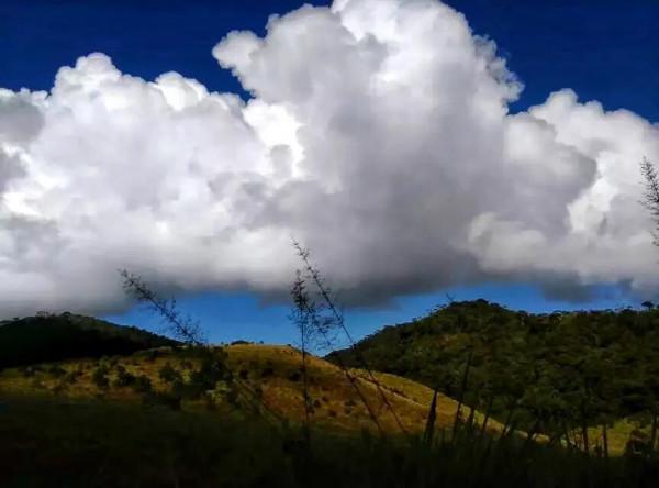 斯里蘭卡--回味無窮的青橄欖