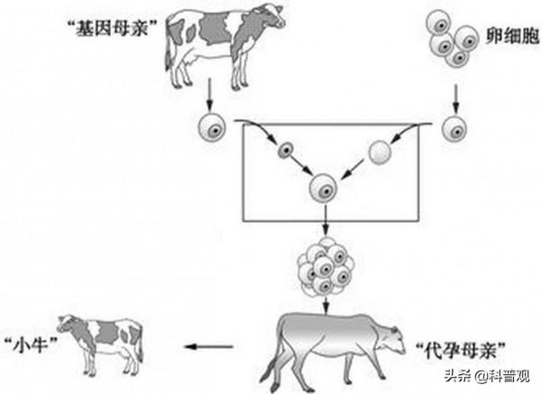 東航遇難者DNA對比完成，132人身份確認！僅憑遺骸如何確認身份？