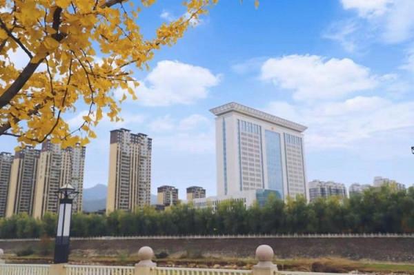 醉人的濱江銀杏公園