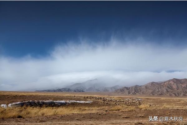 駱賓王：本是仗劍天涯客，不曾苟且戀紅塵