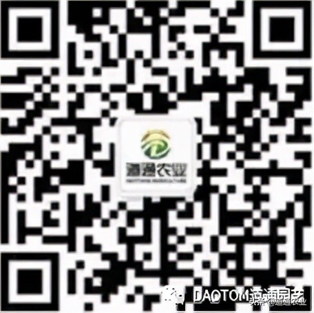 楓樹養護必備丨DAOTOM家庭園藝顆粒控釋肥楓樹專用型 楓樹養護必備丨DAOTOM家庭園藝顆粒控釋肥楓樹專用型