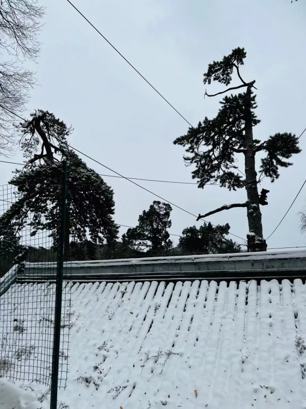門城一夜雪，萬山披銀裝！