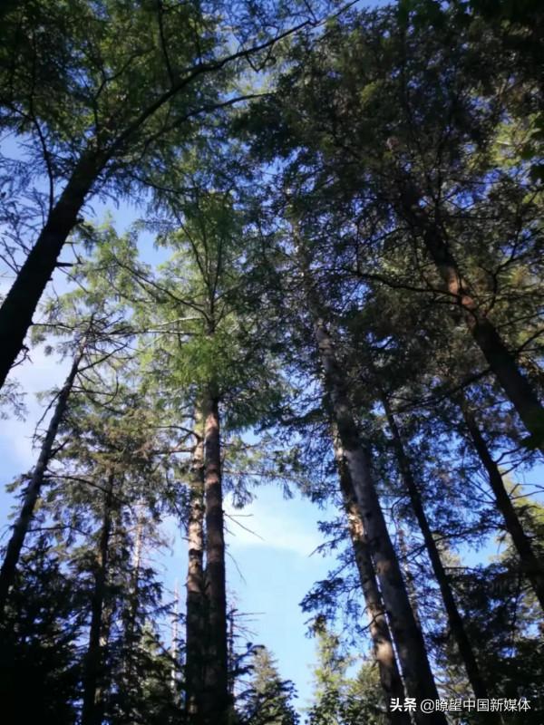 《瞭望 · 凡愷看天下》周凡愷‖黑色的土地(1) 人生就是一種旅行 《瞭望 · 凡愷看天下》周凡愷‖黑色的土地(1) 人生就是一種旅行