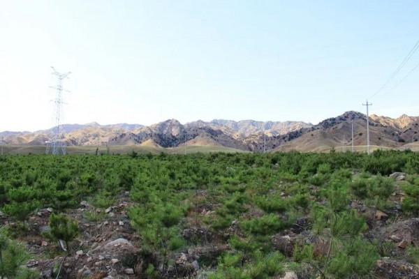 徒步戰國趙北長城（08）：哈德門溝——大壩溝