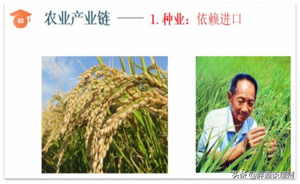 農業晶片——小種子迎來大風口 農業晶片——小種子迎來大風口