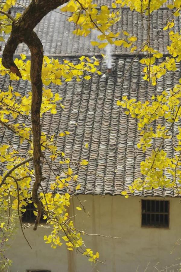 11月，必去的10個古村落，每一個都美得獨特，讓你不想離開