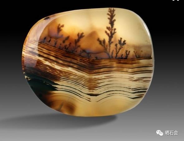 海洋精靈（下）