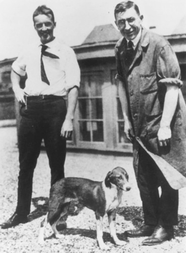 歷經百年！胰島素是如何發現的