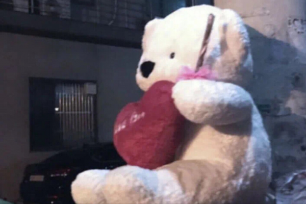 才華橫溢的星座，人格魅力強，追隨者很多，團隊中不可或缺的角色