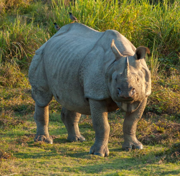重新認識印度：神秘的地方——印度東北（含錫金）
