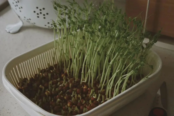 一個女生的東西可以少到什麼地步？