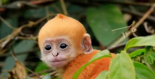 這個冬天,你應該去一趟廣西之崇左玉林靖西 這個冬天,你應該去一趟廣西之崇左玉林靖西