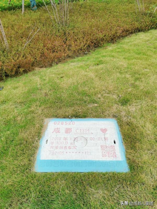 無濾鏡“素顏”新公園,值得帶孩子玩嗎? 無濾鏡“素顏”新公園,值得帶孩子玩嗎?