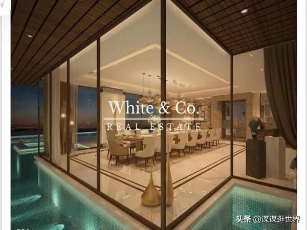 揭秘迪拜最貴的房子