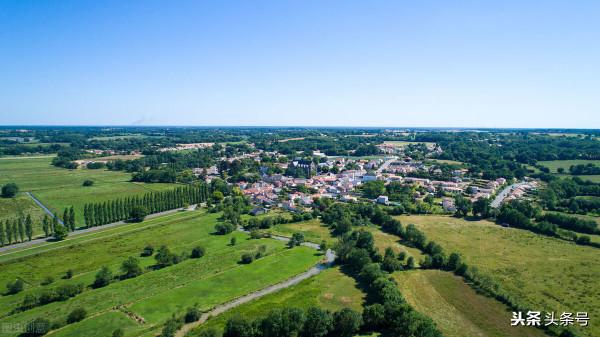 億萬富豪如何轉移財產？投資、移⺠、離岸信託…