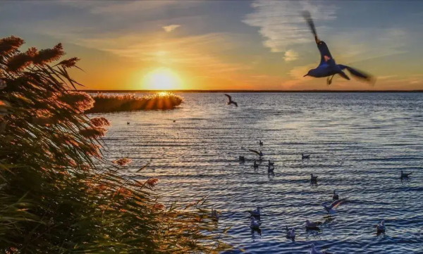 國內這10個絕美的旅行地，去過5個就是旅行達人，你去過幾個呢？