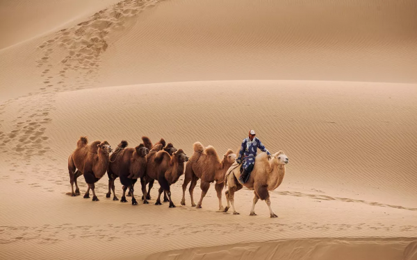 能吹一輩子的沙漠徒步路線！還能睡沙漠帳篷，看銀河星空