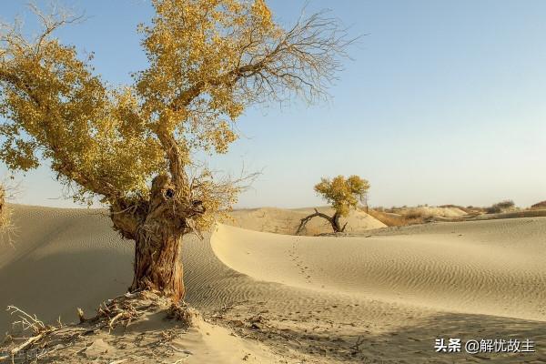 新疆沙漠腹地只有20多戶人家的村寨，不種不牧，他們靠什麼生存？