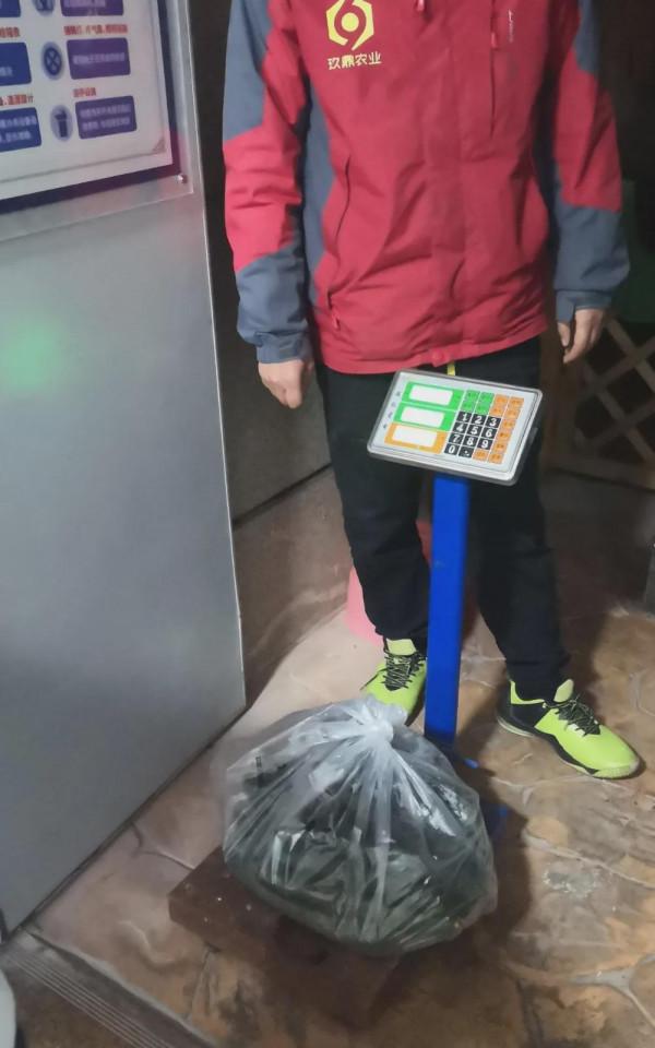 在柏林陽光幼兒園,食材須過五關斬六將 在柏林陽光幼兒園,食材須過五關斬六將