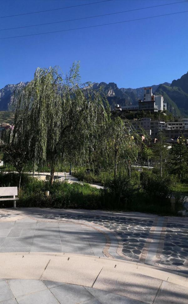 那個為別人，努力付出的人，最後怎麼樣了