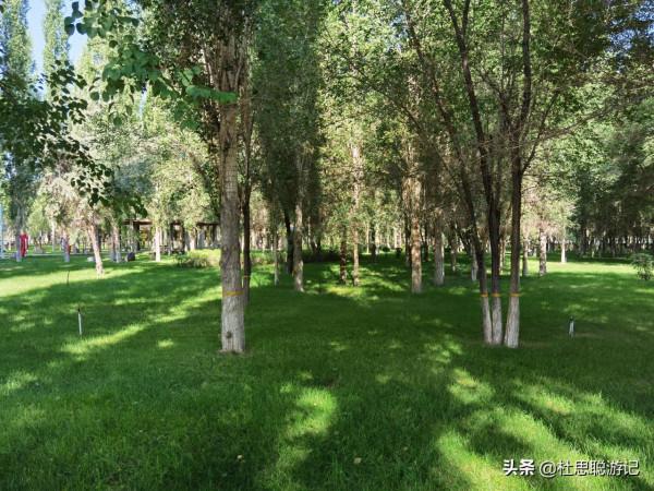 漢EV自駕新疆，吉木薩爾地質公園打卡，河底的網紅景點不要錯過