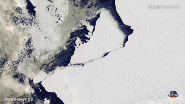 衛星預警:帝企鵝的命運 衛星預警:帝企鵝的命運