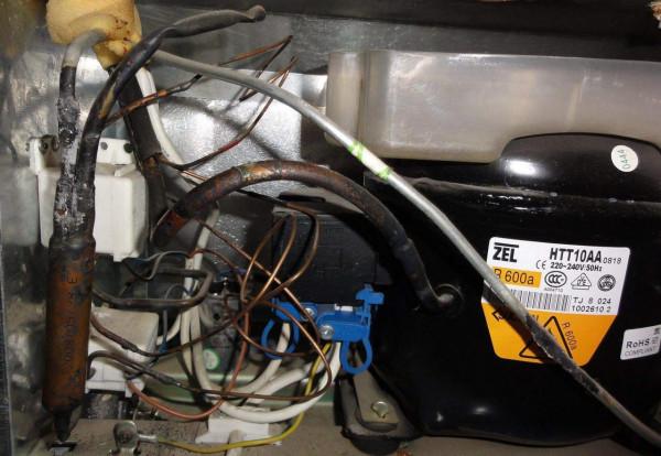 風冷冰箱一定好用嗎?我花2000元買了颱風冷冰箱,現在正準備退貨 風冷冰箱一定好用嗎?我花2000元買了颱風冷冰箱,現在正準備退貨