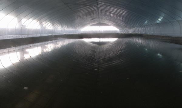 “讓魚兒住進樓房”成為全國首創