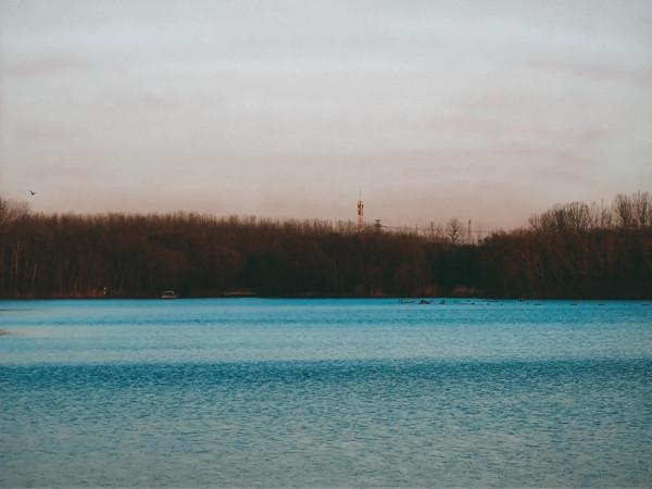 華為P50對比摩托羅拉edge s pro，攝影精選