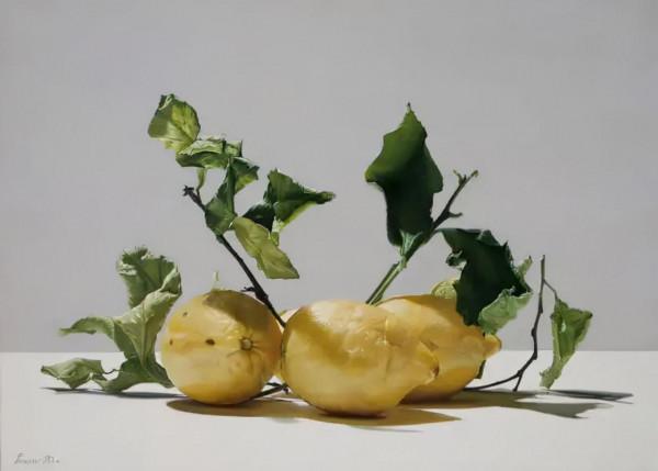 他畫的水果太寫實了,疤痕和褶皺都跟真的一樣,大寫的服氣 他畫的水果太寫實了,疤痕和褶皺都跟真的一樣,大寫的服氣