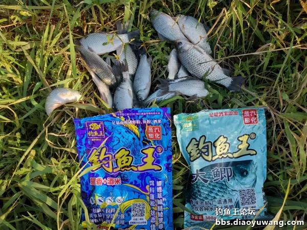 轉戰兩地，終獲一碗鮮