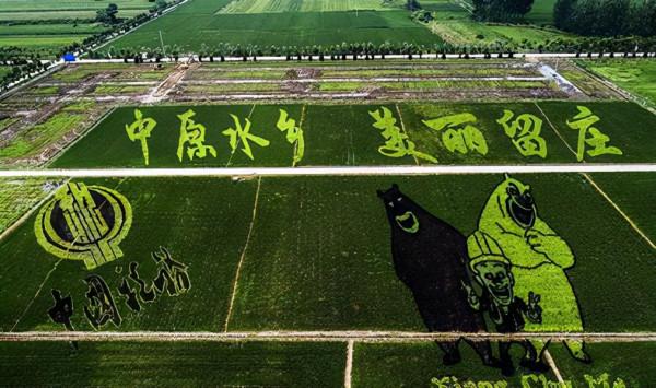 河南一低調縣城，規模不大稻田畫卻超美，門票免費名氣不大