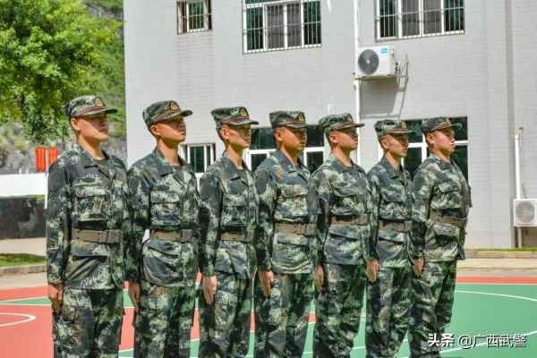 剛來的這批新兵,了不得啊! 剛來的這批新兵,了不得啊!