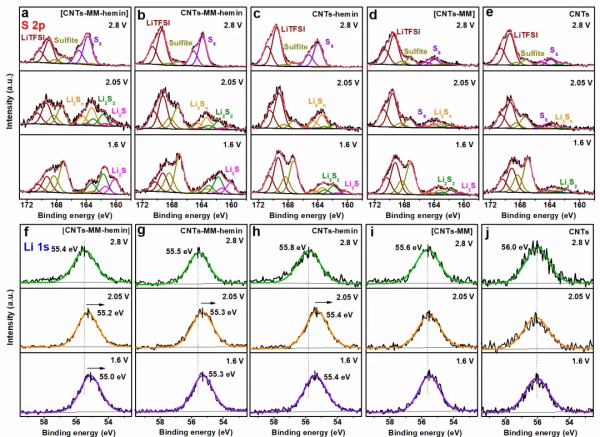 輔因子結合多重鋰鍵網路，助力人工酶加速催化硫轉化反應