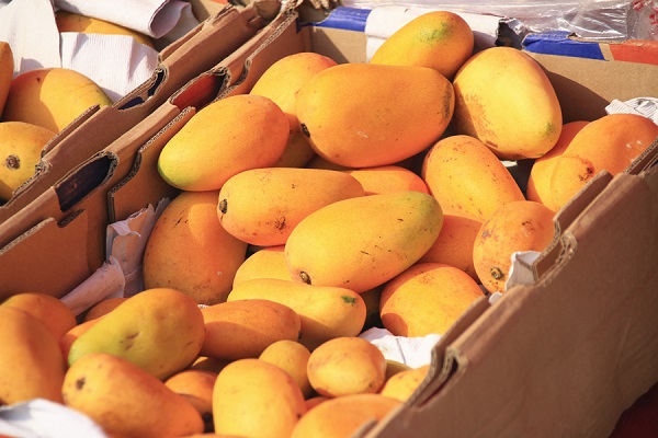 《柳葉刀》：32%的中國人，因不良飲食誘發病！油糖並非主因