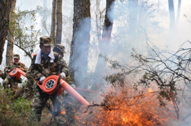 家長怎麼做能幫助孩子做有意義的思考? 家長怎麼做能幫助孩子做有意義的思考?