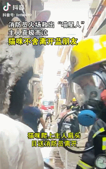 生命之吻！他人工呼吸拯救昏迷小貓，中國消防員也很暖